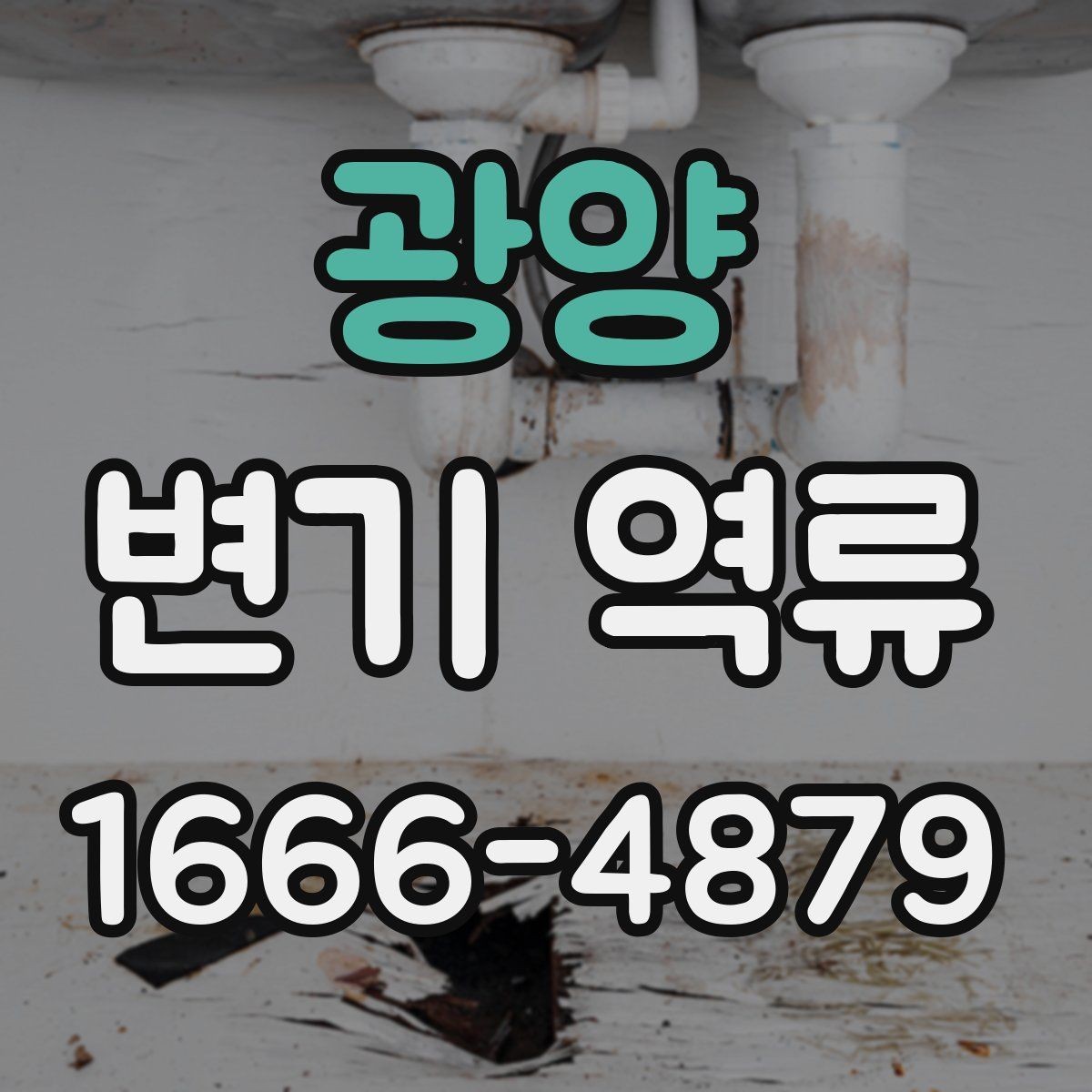 광양 변기 역류 해결을 위한 기본 점검