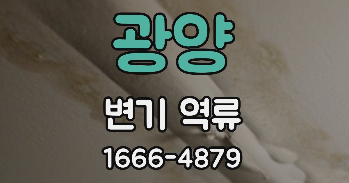 광양 변기 역류