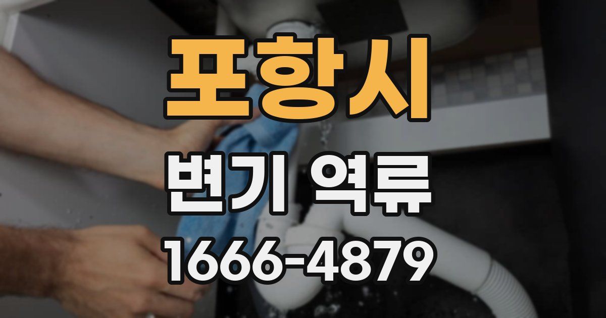 포항시 변기 역류