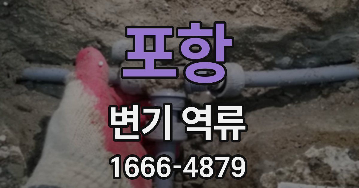 포항 변기 역류