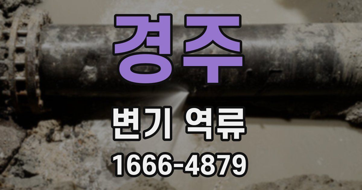 경주 변기 역류