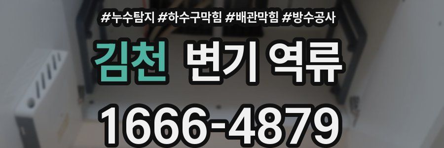 김천 변기 역류