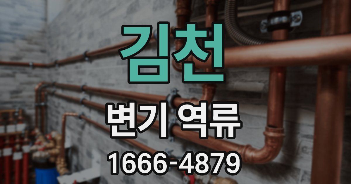 김천 변기 역류