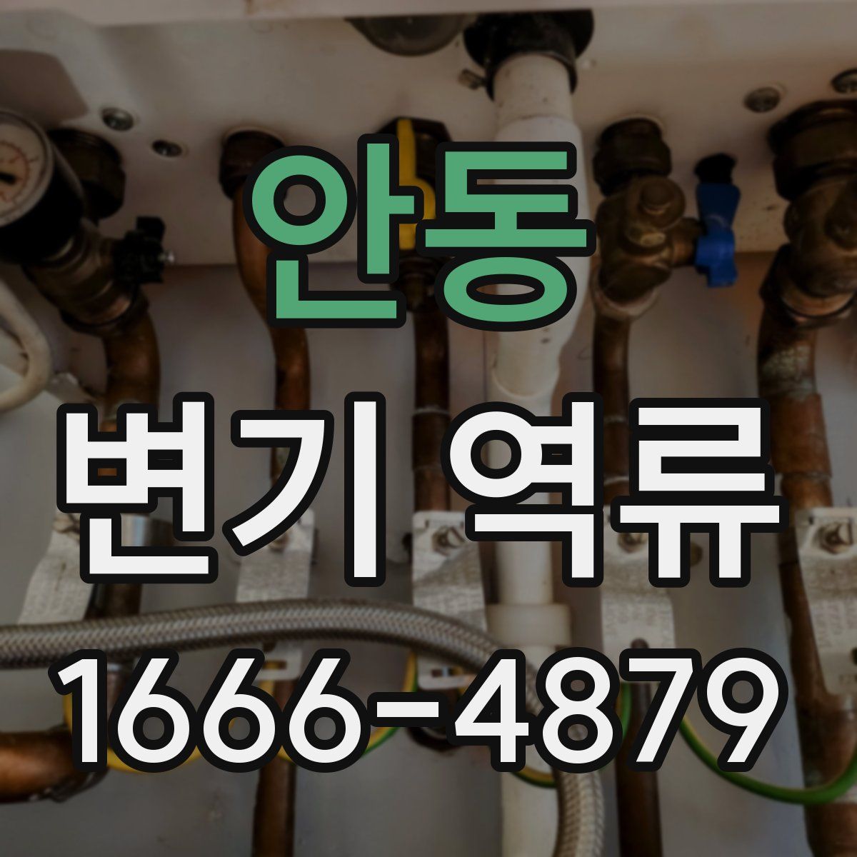 안동 변기 역류