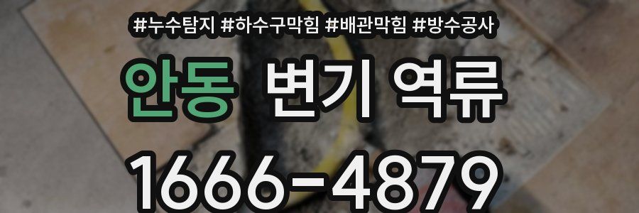 안동 변기 역류