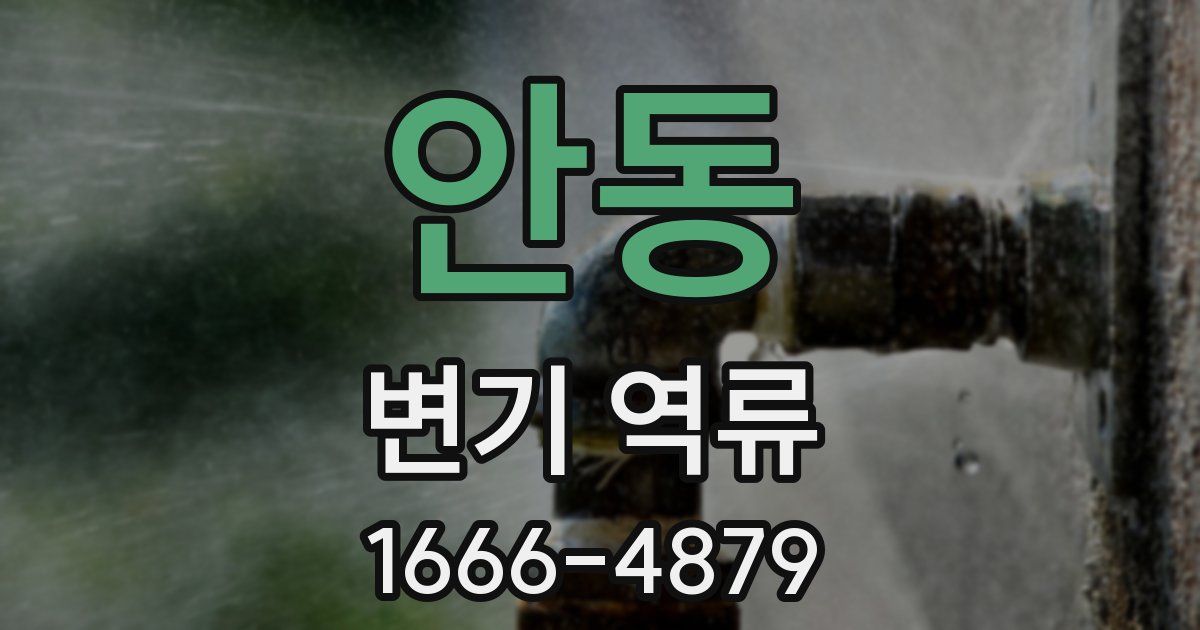 안동 변기 역류