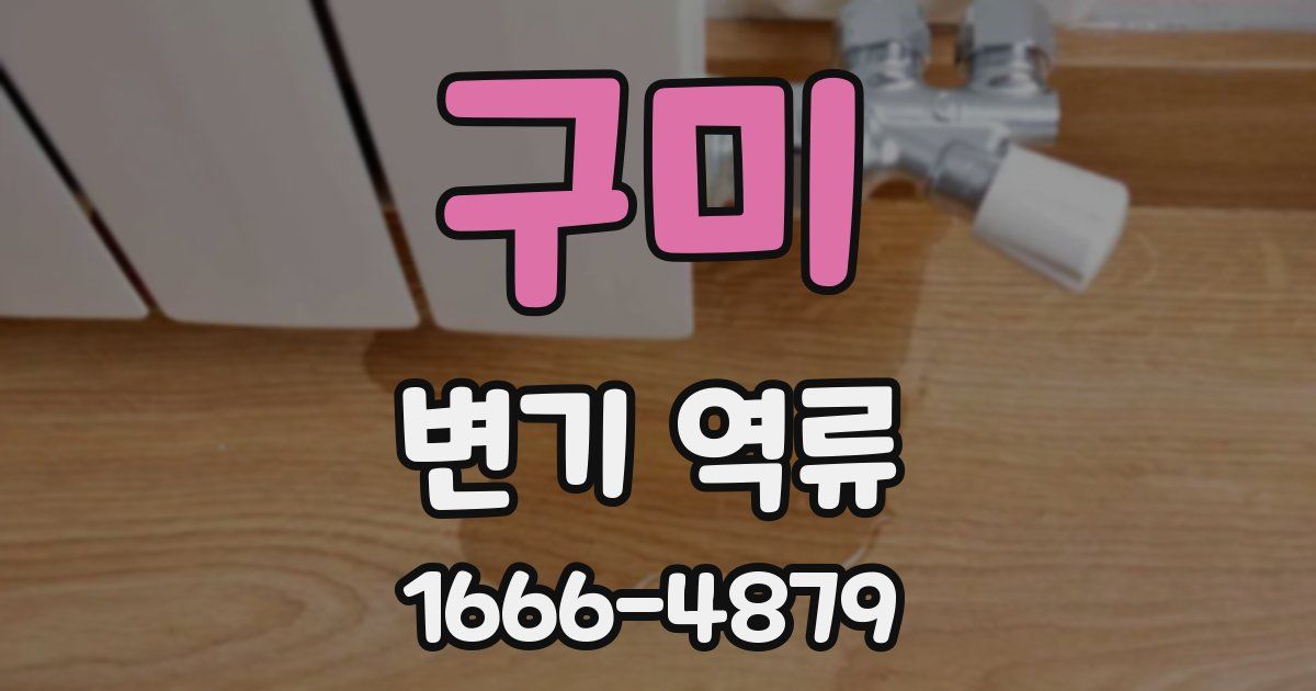 구미 변기 역류