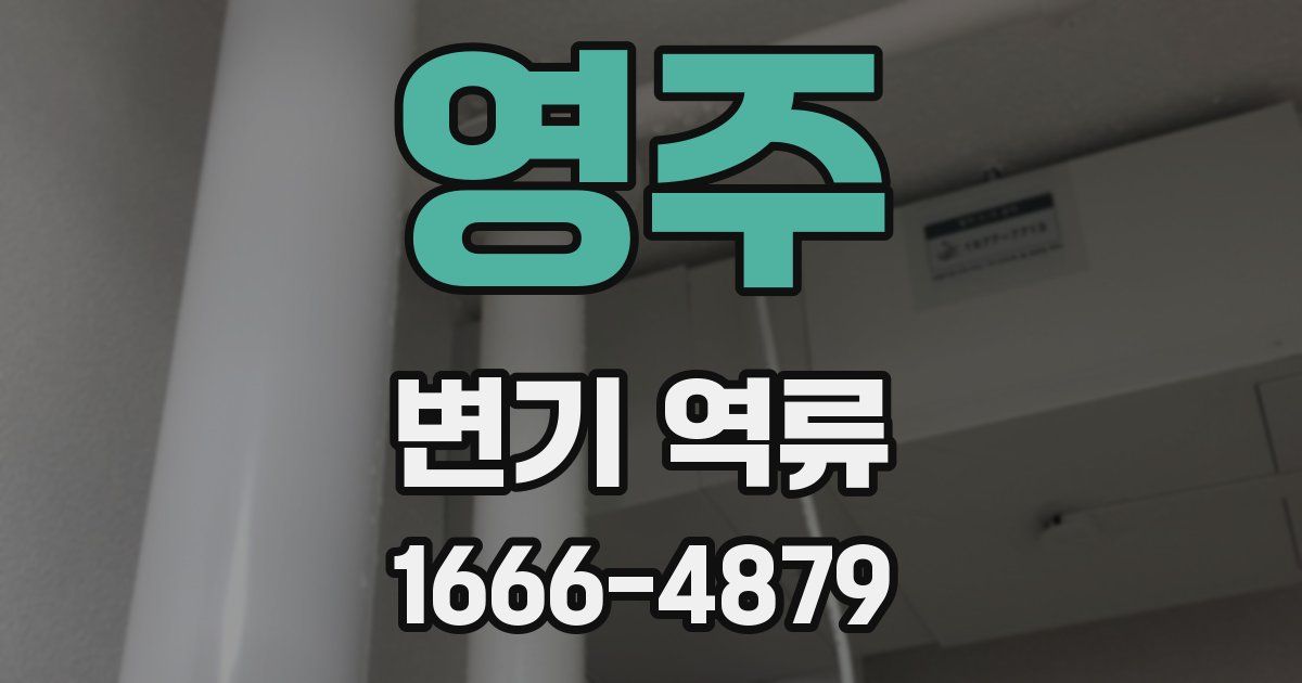 영주 변기 역류