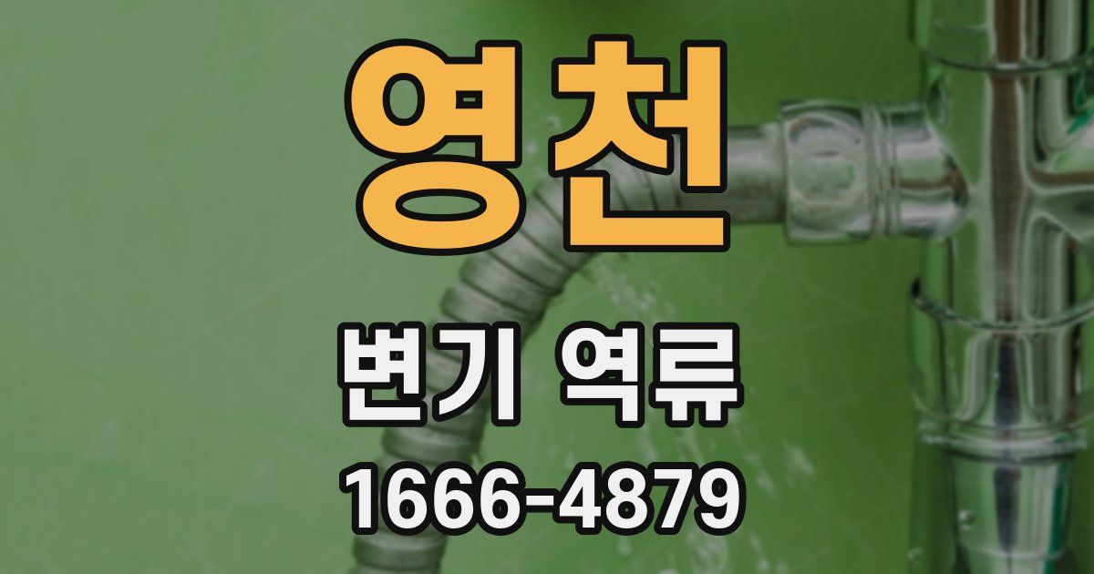 영천 변기 역류