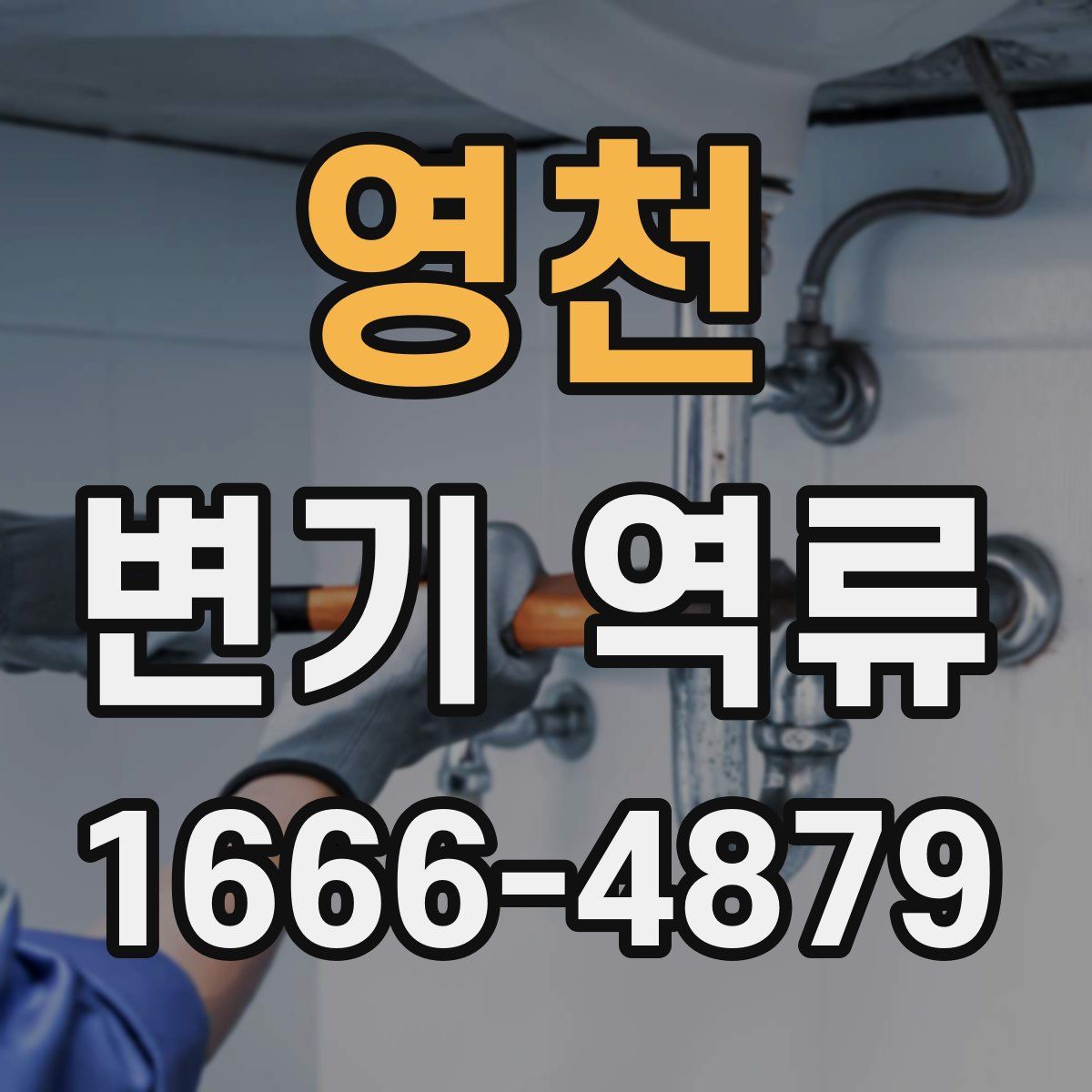 영천 변기 역류