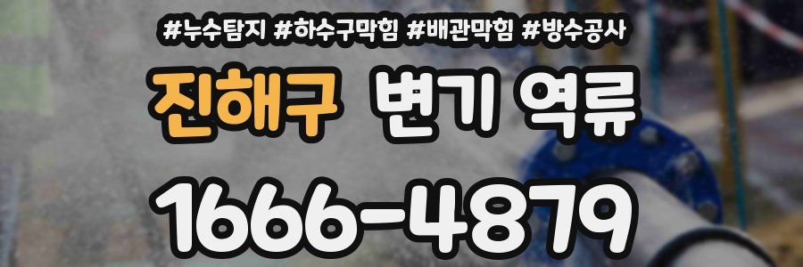 진해구 변기 역류