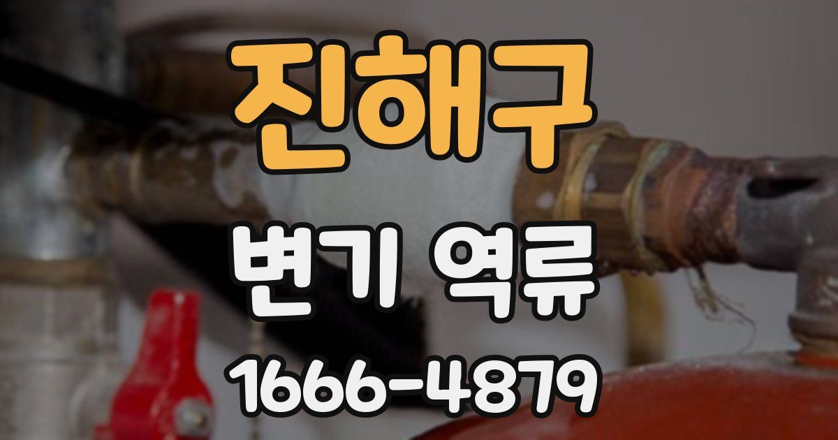진해구 변기 역류