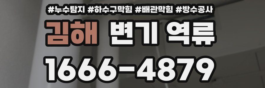 김해 변기 역류