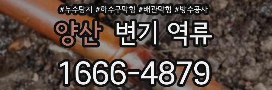 양산 변기 역류
