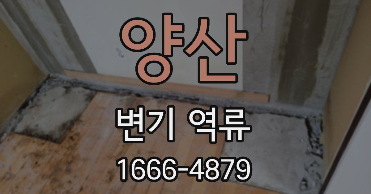 양산 변기 역류