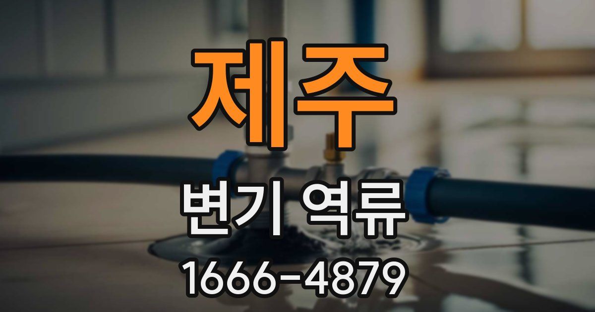 제주 변기 역류