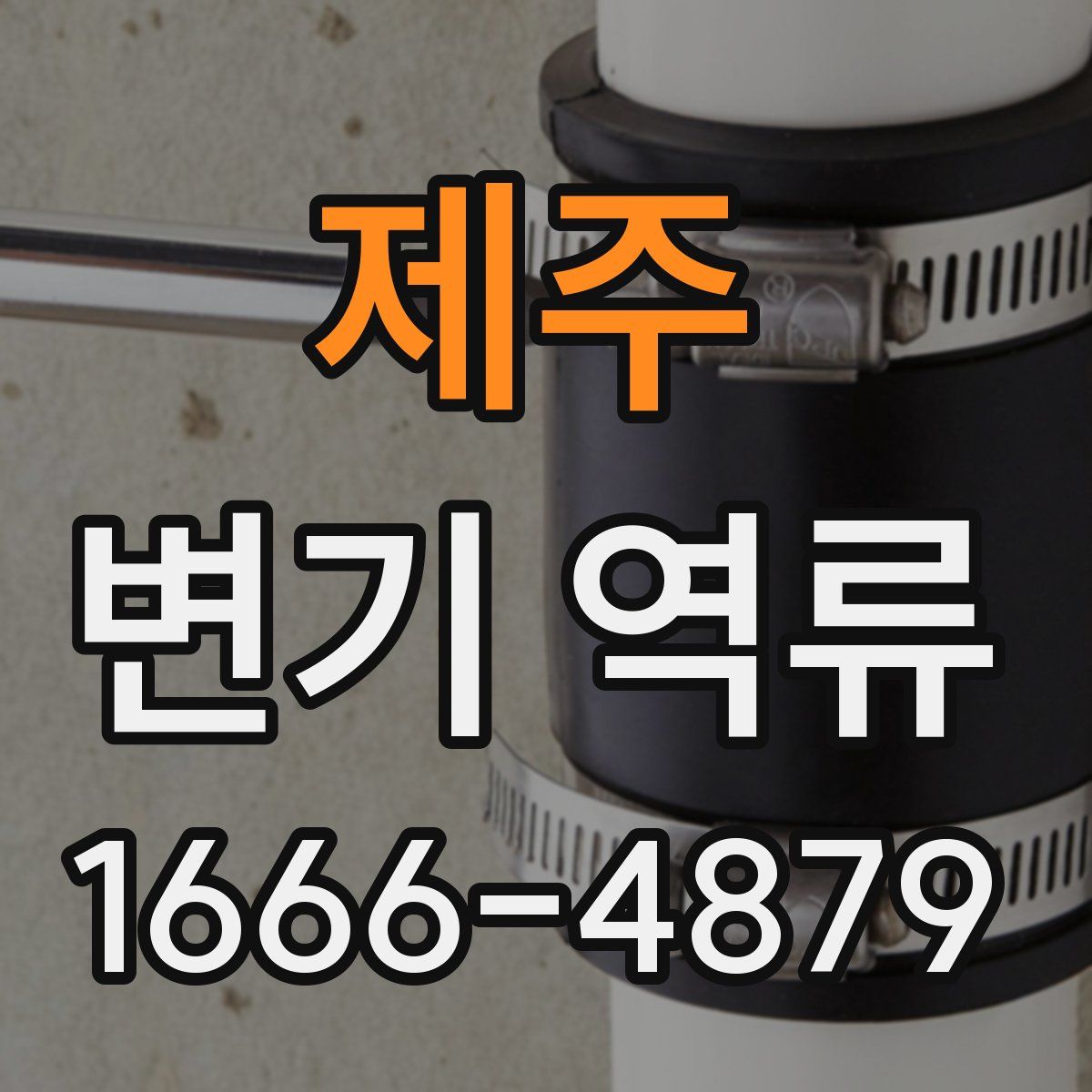 제주 변기 역류