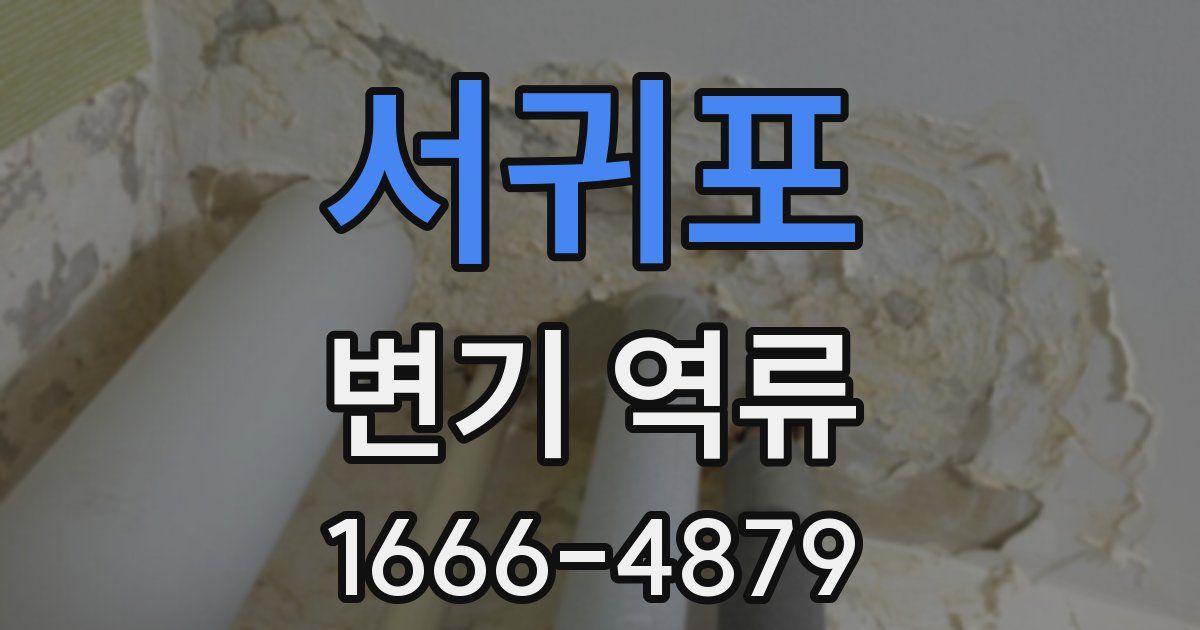 서귀포 변기 역류