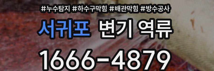 서귀포 변기 역류