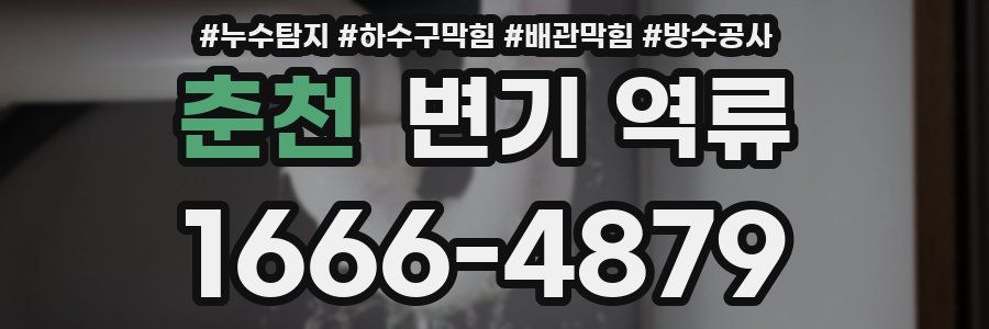 춘천 변기 역류