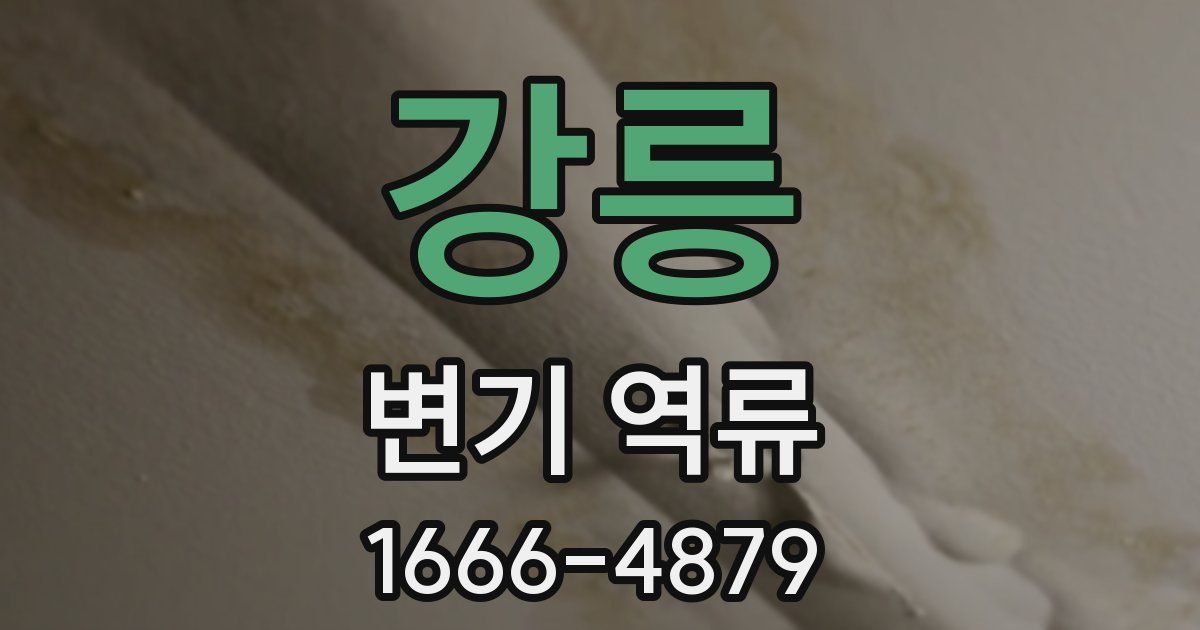 강릉 변기 역류