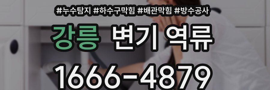 강릉 변기 역류