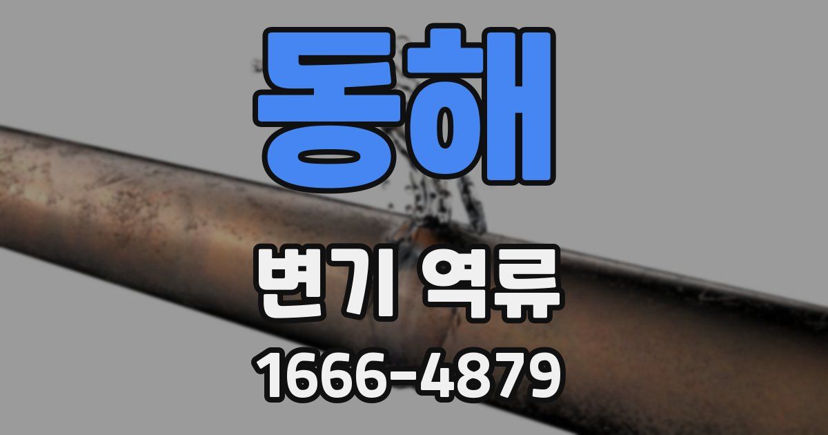 동해 변기 역류