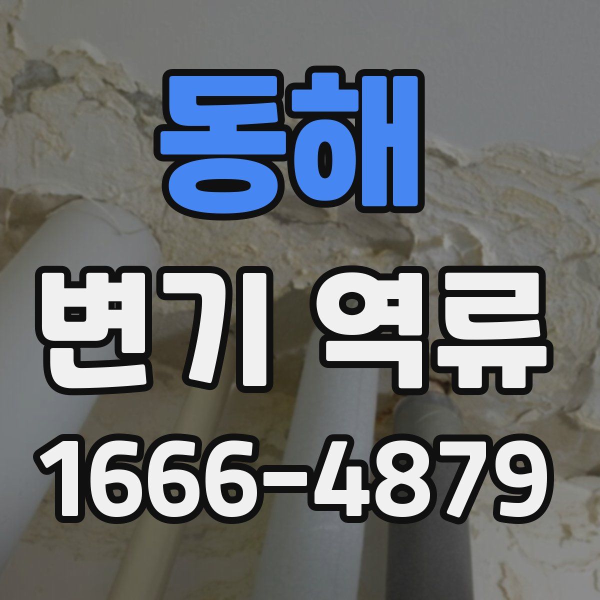 동해 변기 역류