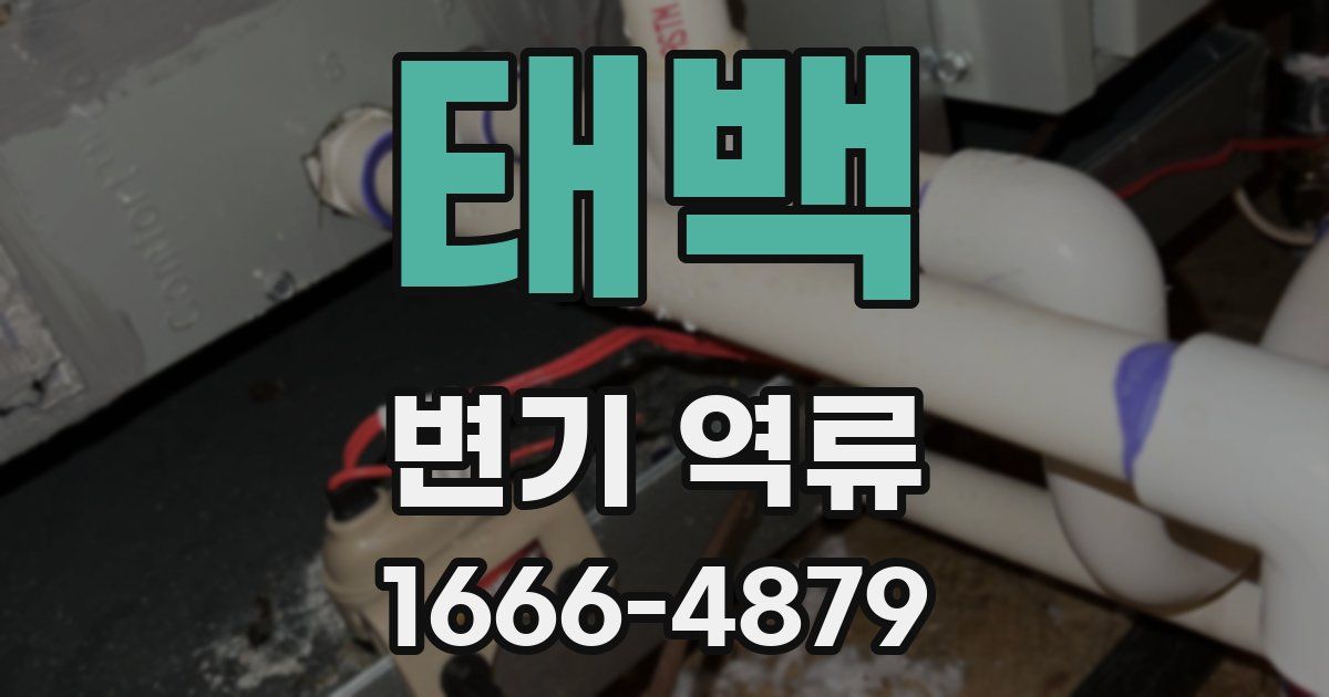 태백 변기 역류