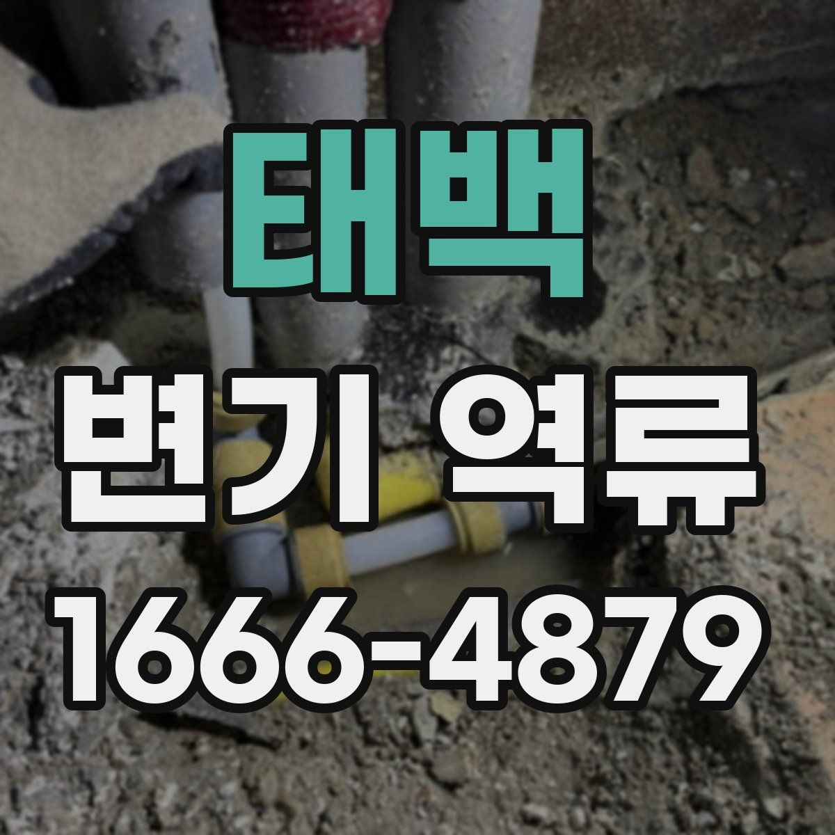 태백 변기 역류