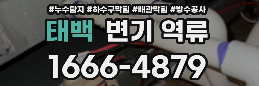 태백 변기 역류
