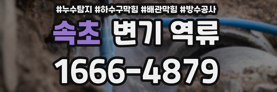 속초 변기 역류