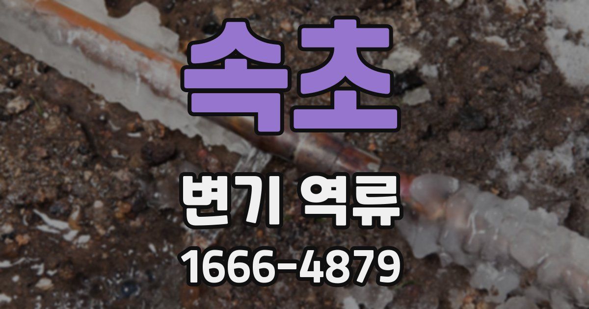 속초 변기 역류