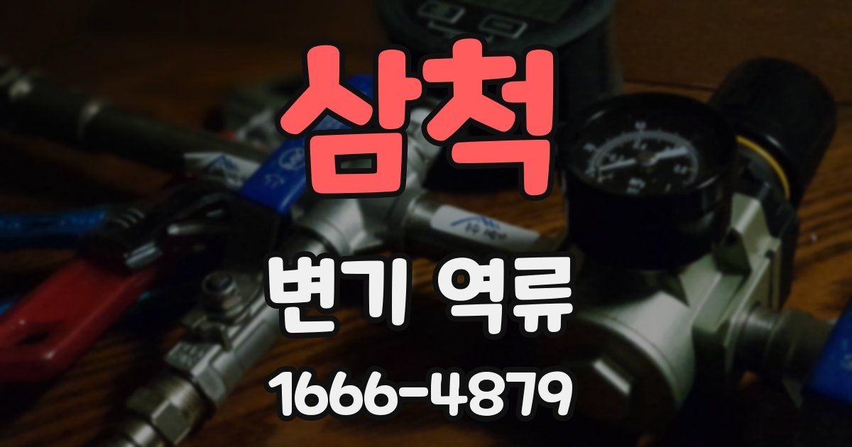 삼척 변기 역류