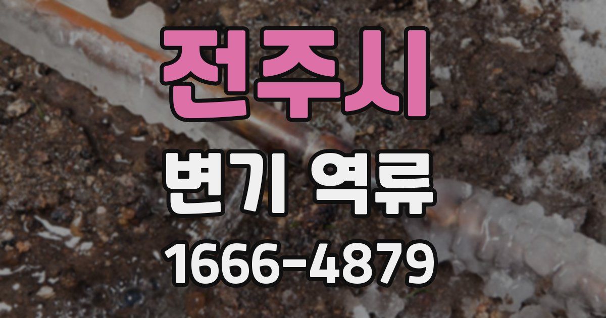 전주시 변기 역류