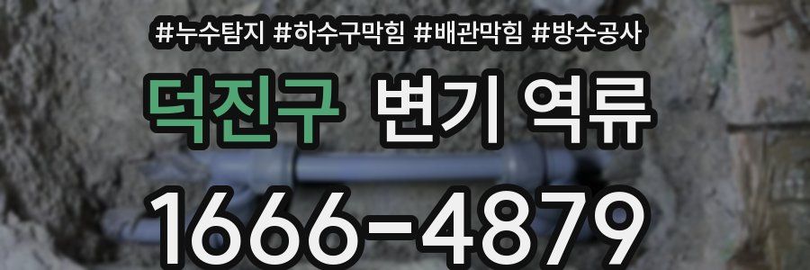 덕진구 변기 역류