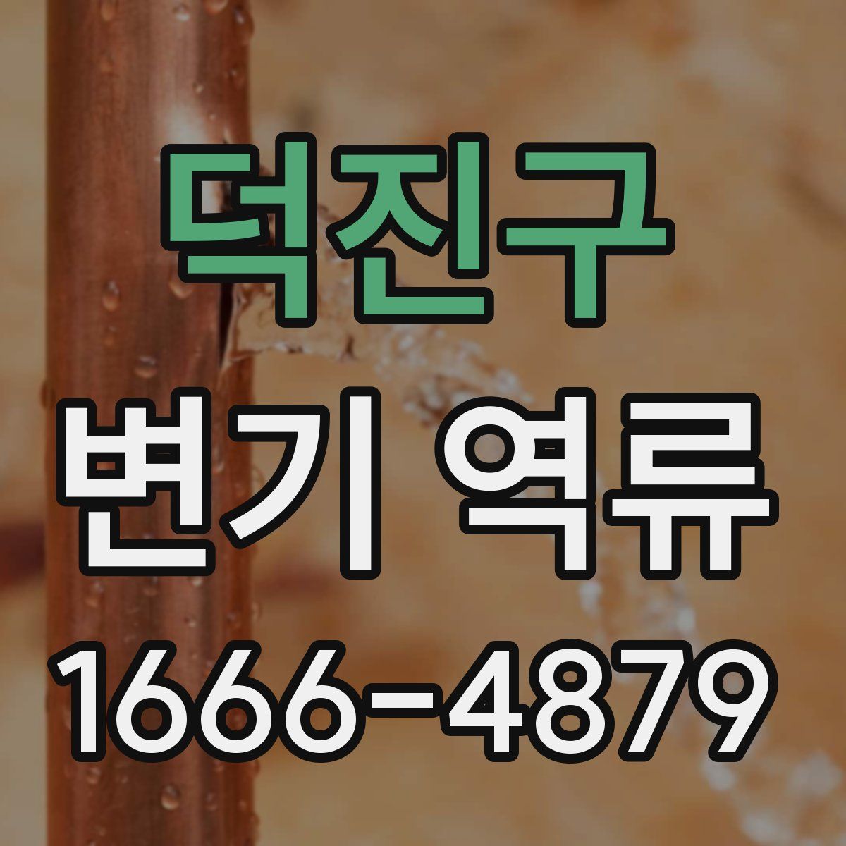 덕진구 변기 역류