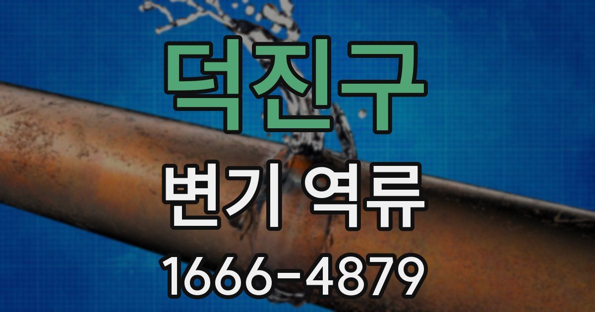 덕진구 변기 역류