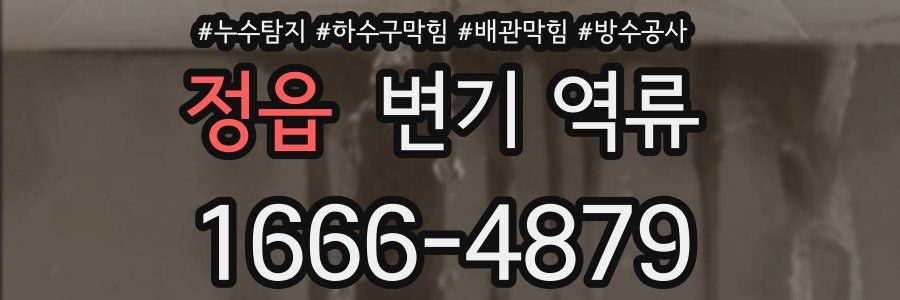 정읍 변기 역류