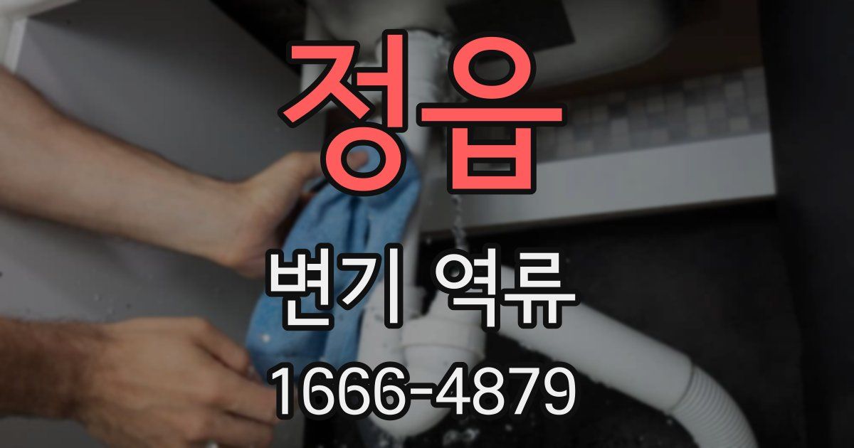 정읍 변기 역류