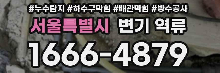 서울특별시 변기 역류