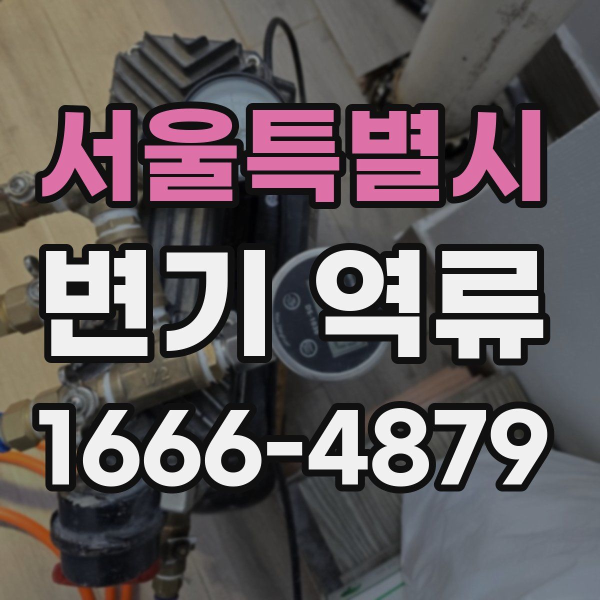 서울특별시 변기 역류