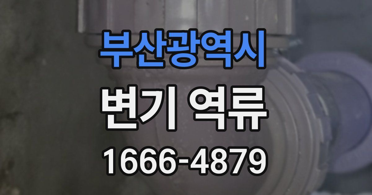 부산광역시 변기 역류