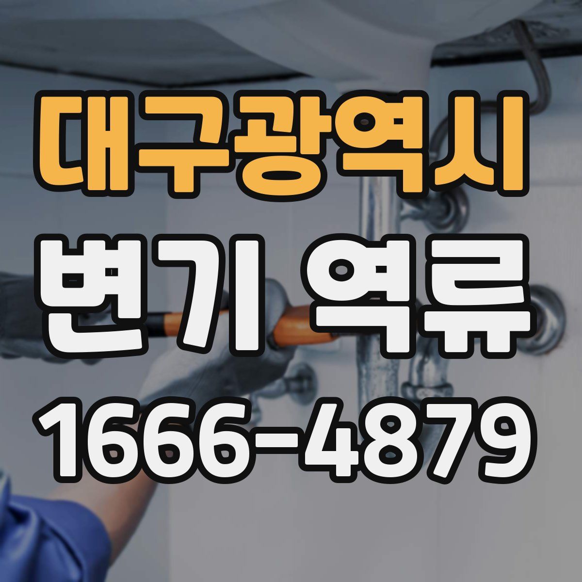 대구광역시 변기 역류