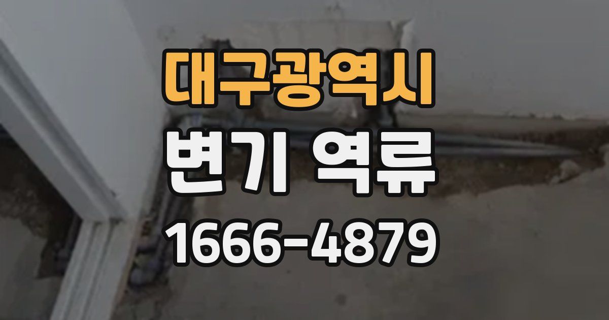 대구광역시 변기 역류