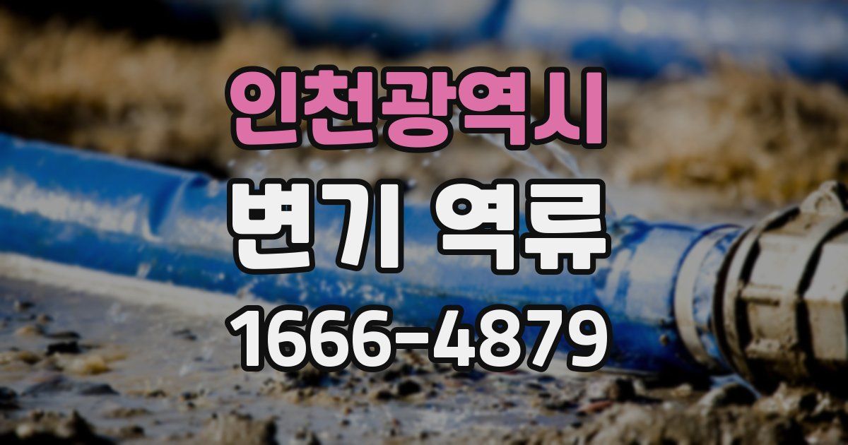 인천광역시 변기 역류
