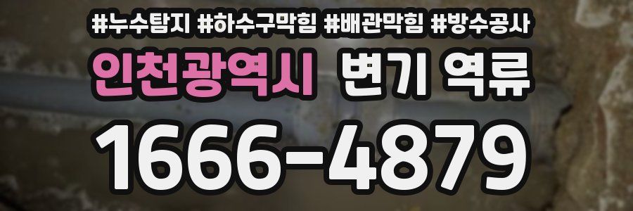 인천광역시 변기 역류
