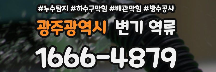 광주광역시 변기 역류