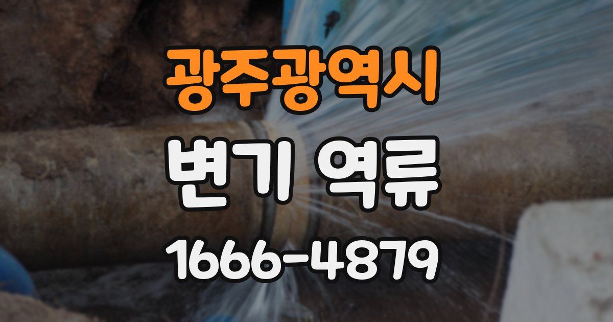 광주광역시 변기 역류