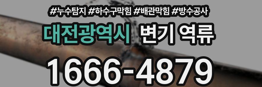 대전광역시 변기 역류